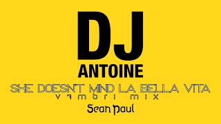 Sean Paul feat. DJ Antoine & Mad Mark - She Doesn't Mind La Bella Vita