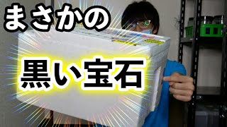 視聴者の方から送られて来た発泡スチロール箱を開封した結果が衝撃過ぎた