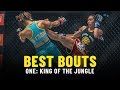 Best Bouts | ONE: KING OF THE JUNGLE