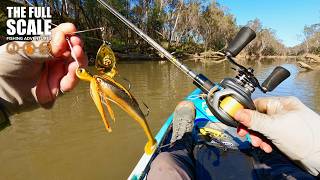 Murray Cod Fishing Topwater and Spinnerbaits | The Full Scale