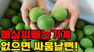 매실씨빼기 | 매실씨빼는기계 사용하기 | 매실씨제거기 사용 후기 | 매실장아찌 만들기 팁