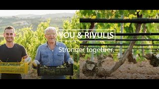 You and Rivulis - Stronger together:⁠ ⁠Vineyards \u0026 Hydro PC