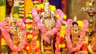 தஞ்சையில் நாலு கால் மண்டபம் ஸ்ரீ பிரசன்ன வெங்கடேச பெருமாளுக்கு தங்க கவசம் சாத்தப்பட்டு மகா தீபாரதனை