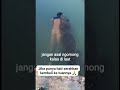 jangan asal ngomong kalau di laut begini akibatnya