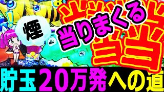 『P大海物語4スペシャル ㉓』貯玉20万発★遂に王手！