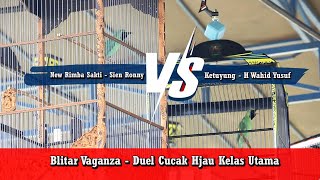 Blitar Vaganza - Duel Seru Kelas Cucak Hijau Utama Ketuyung VS New Rimb Sakti