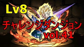 [vol 41]『チャレンジダンジョンLv８【回復無し】』LFベジット