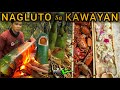 Ep.445- NILUTO SA KAWAYAN ANG MGA NAKUHANG TALANGKA AT LABONG | BUHAY PROBINSYA | bukids