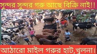 অবাক কান্ড গরু আছে বিক্রি নাই।আঠারো মাইল গরুর হাট।Cow market ❤️❤️❤️❤️❤️