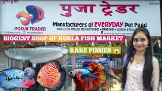 Pooja traders fish aquarium l kurla fish market l largest shop in kurla l premium quality✨🐟