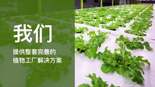 MEDIGE PKNP 高科技有机蔬果种植产业园 Medige PKNP High-tech Organic Fruit \u0026 Vegetable Planting Industrial Park