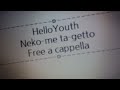 helloyouth 猫目ターゲット free a cappella フリーアカペラ