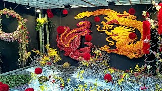 香港花卉展覽黃昏遊 (粵語現場解述) 2016 HK Flower Show Evening Scenes