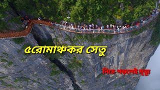 ৫টি রোমাঞ্চকর সেতু || 5adventure Bridge || #Hottiti