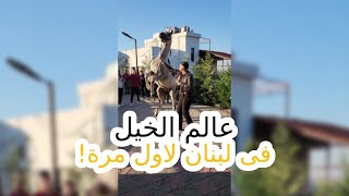 عالم الخيل فى لبنان لاول مرة #٦٠شو_مع_الدكتور_حاتم_ستين