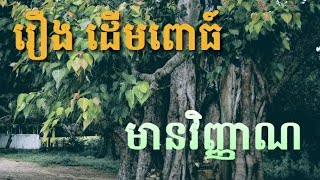 រឿង​ ដើមពោធ៍មានវិញ្ញាណ|Ghost Stories Podcast|   រឿងនិទាន|រឿងខ្មោច|និទានខ្មោច|រឿងរន្ធត់