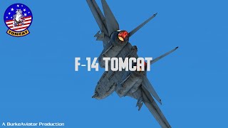 Virtual US Navy F-14 Tomcat Demonstration