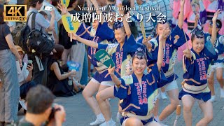 高円寺ひょっとこ連 阿波踊り 流し踊り 成増阿波おどり大会 2023 AwaOdori