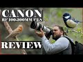 Canon RF 100-300mm f2.8 L IS USM Lens Review | The ULTIMATE Telephoto Zoom?