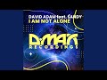 I am not Alone (Original Mix)