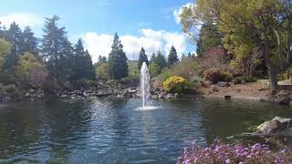 4K Virtual Walking Tour - Walking Around Seven Springs Club House Cupertino California