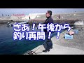 エギングでアオリイカ釣れました！　in初島！squid fishing