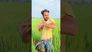 ਜਮੀਨ ਦਾ ਠੇਕਾ!ਠੇਕੇ ਤੇ ਜਮੀਨ#comedy #punjabiduetsong#punjabimusic #ਪੰਜਾਬੀ #funny#punjabisongs Deolmedia