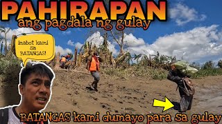 EP386: MGA NATIRANG AMPALAYA (HARVEST NATIN!) + BATANGAS MUNA TAYO