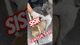 Keren!! Pembuatan SISIR dari TANDUK SAPI #trending #prosespembuatan #india #fyp #viralvideo #update