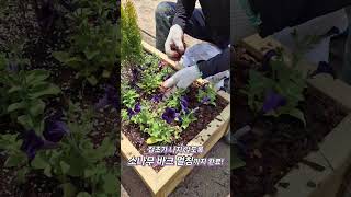 채움원예종묘 대형화분 조경 식재 관공서 납품 #천안 #아산 #평택 #야생화 #조경수 #분갈이 #전원주택 #마당 #꽃나무 #식재