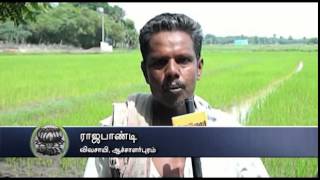 Problems Faced by Farmers in Nagai Mavattam Sirkazhi - Dinamalar Oct 27th News