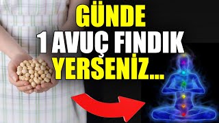 Günde Bir Avuç Fındık Yerseniz Özellikle Kabuğunun Faydası İnanılmaz