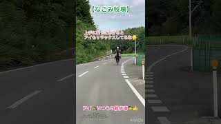 2020.9.21 アイ🐴いつもの散歩道🐎　#なごみ牧場