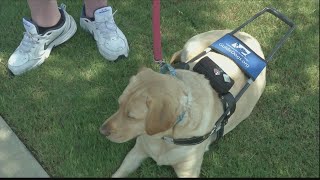 UPDATE: After controversy, Lowcountry Church changes its policy on service dogs