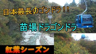 【日本最長のゴンドラ！】苗場ドラゴンドラ　全区間等速ノーカット（紅葉営業）