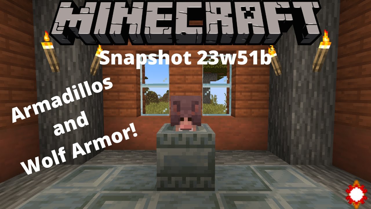 Minecraft Snapshot 23w51b -Wolf Armor And Armadillos!- - YouTube