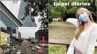 taipei diaries | ramen, mala hotpot, night market, taipei zoo