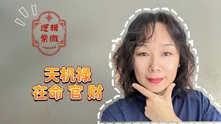 【逻辑紫微】Elisa 天机禄在命 在官 在财，禄了个啥