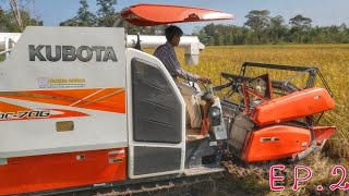 รถเกี่ยว 2017 | รถเกี่ยว KUBOTA DC70G  รถเกี่ยวข้าวคูโบต้าเกี่ยวข้าว ep.2【CHANAWAN】