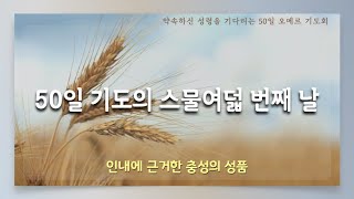 약속하신 성령을 기다리는 50일 기도 | 스물여덟 번째 날 | 인내에 근거한 충성의 성품 | 에클레시아 선교회