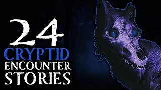 24 SCARY CRYPTID ENCOUNTER STORIES - THE HORROR LIVES ON