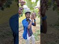 திராட்சை எந்த மண்ணில் வளரும் தெரியுமா 😎😎 vitis vinifera shorts reels trending viral