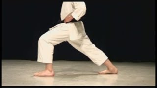 Shotokan Karate Stances Zenkutsu Dachi Front Stance