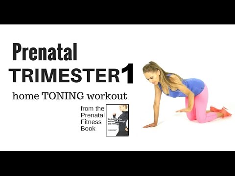 PREGNANCY EXERCISES - FIRST TRIMESTER WORKOUT - stay fit during pregnancy PREGNANCY EXERCISES - FIRST TRIMESTER WORKOUT - stay fit during pregnancy