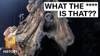 4 MYSTERIOUS CREATURES CAUGHT ON CAMERA | The Proof is Out There