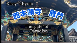 Kyoto national treasure Nishi-Honganji 国宝　西本願寺　唐門