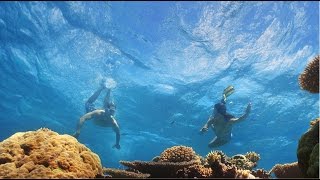 There's Nothing Like Australia's Aquatic and Coastal Experiences