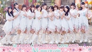 『MARINE COLLECTION LIVE 2016 TWINKLING+ STAR MUSIC VIDEO』ライブ紹介映像 #マリコレ