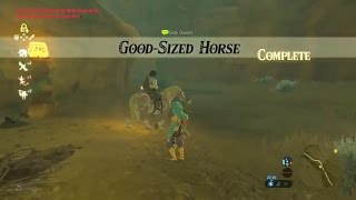 Zelda: Breath of the Wild | Good-Sized Horse Side Quest - Wasteland Tower Region