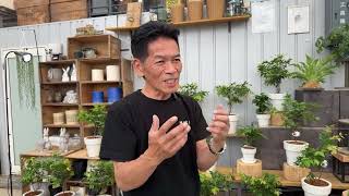 2025年…流行らせたい植物を紹介！！岐阜農場から生ライブ！！